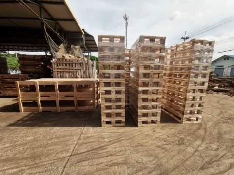 พาเลทลังไม้